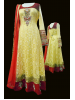 Lace Churidar Suit